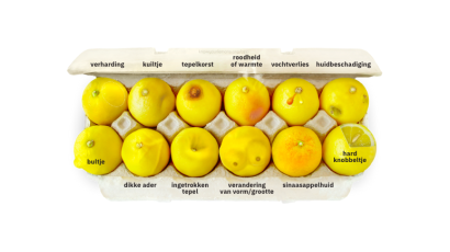 know your lemmons