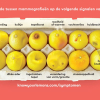 Know Your Lemons