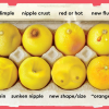know your lemmons